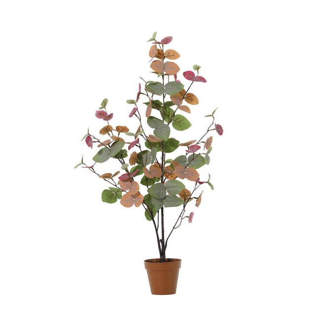 Kunstplant Eucalyptus colour - ↕86cm