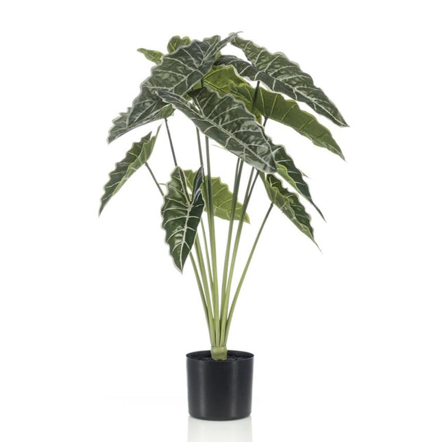 Kunstplant Alocasia - ↕80cm