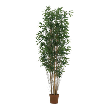 Kunstplant Bamboe - ↕210cm