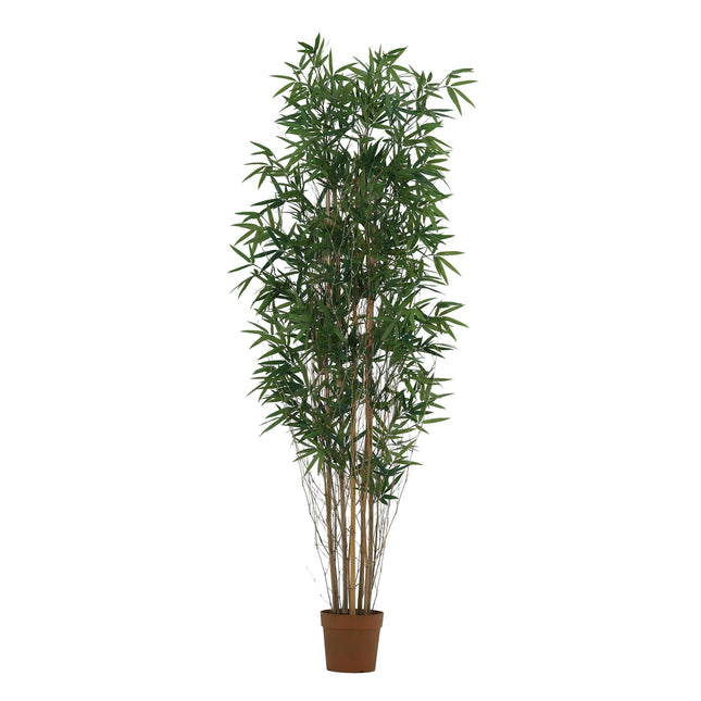 Kunstplant Bamboe - ↕210cm