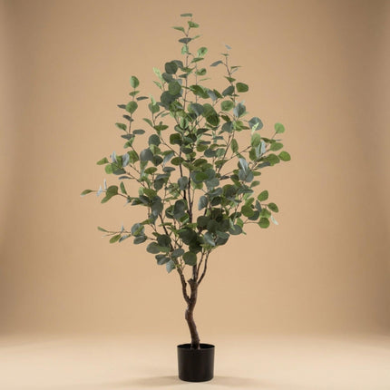 Kunstplant Eucalyptus - kunstboom - ↕140cm