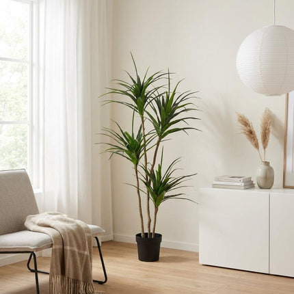 Kunstplant Dracaena - ↕165cm
