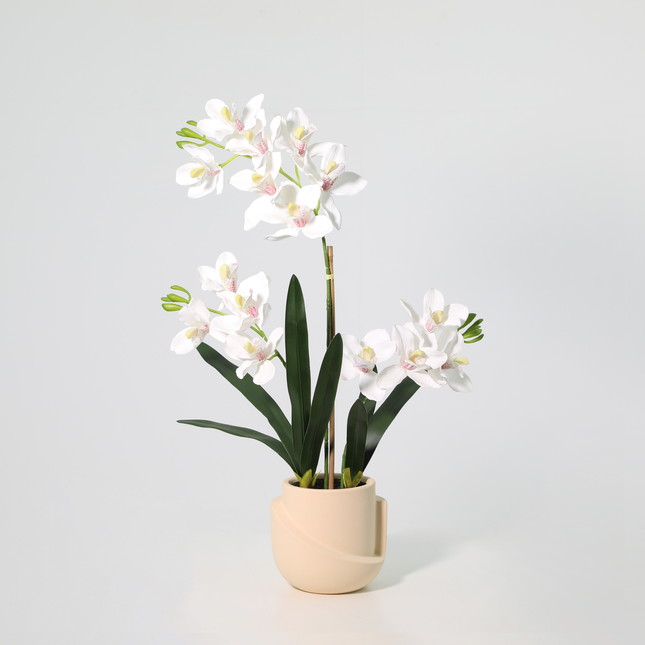 Kunstplant Phalaenopsis orchid met pot - ↕71cm