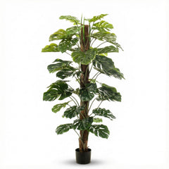 Collection image for: Monstera Kunstplant