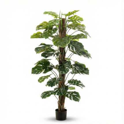 Kunstplant Monstera op stok - ↕150 cm