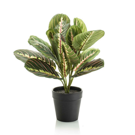 Kunstplant Maranta groen - in zwarte pot - ↕30cm - Ø12cm