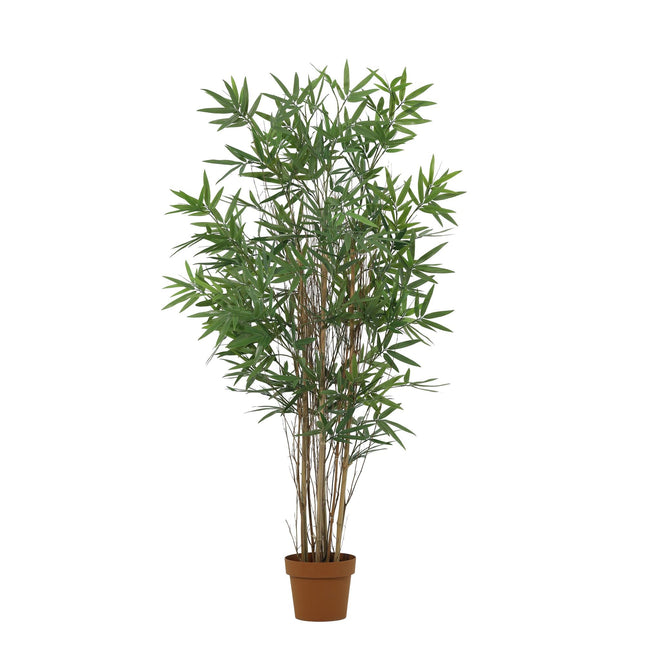 Kunstplant Bamboe - ↕144cm