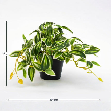 Kunstplant Tradescantia Groen/Wit - ↕17cm - Ø19cm
