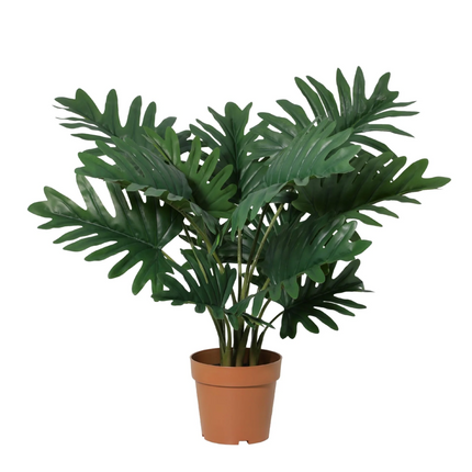Kunstplant Philodendron Selloum - ↕70cm