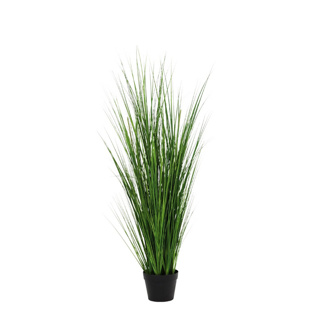 Kunstplant Onion Grass - ↕130cm