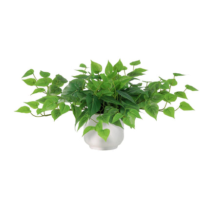 Kunstplant epipremnum in witte pot