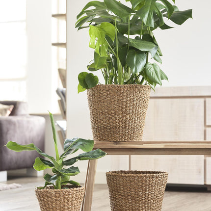 Plantenmand -  Lichtbruin - Jip naturel - L - H25 W30