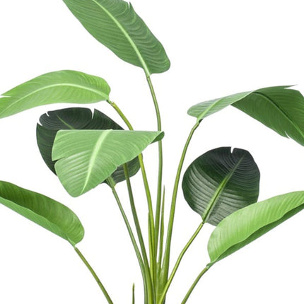 Kunstplant Strelitzia - In zwarte pot - ↕120cm