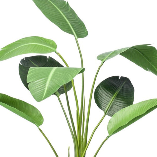 Kunstplant Strelitzia - In zwarte pot - ↕120cm