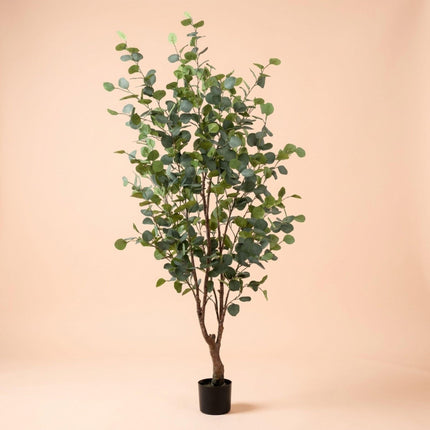 Kunstplant - Eucalyptus boom - ↕140cm