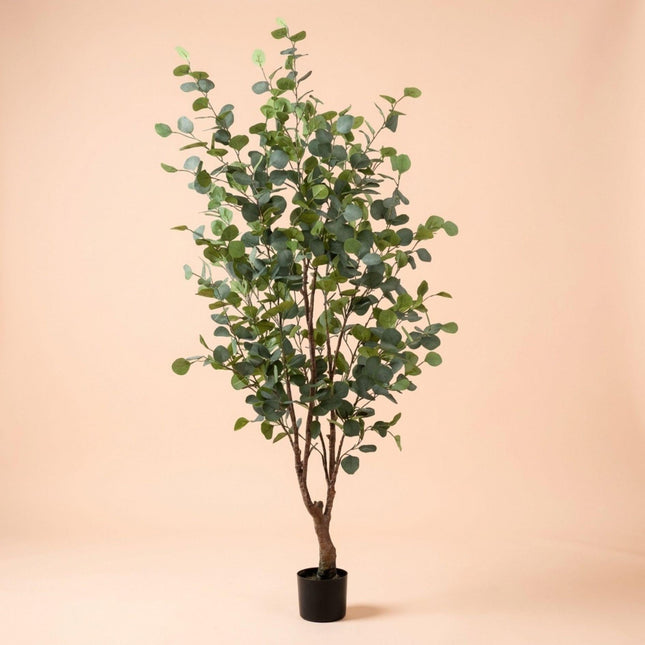 Kunstplant - Eucalyptus boom - ↕140cm