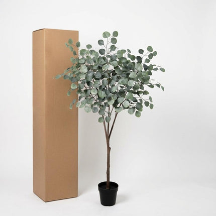 Kunstplant Eucalyptus boom - ↕150cm