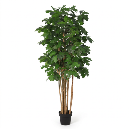 Kunstplant Oak tree - ↕170cm