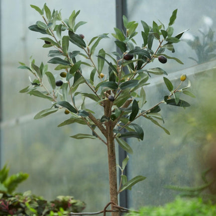 Kunstplant Olijfboom in pot - ↕65cm