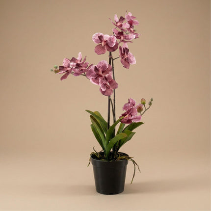 Kunstplant Orchidee Vanda in pot -↕60cm