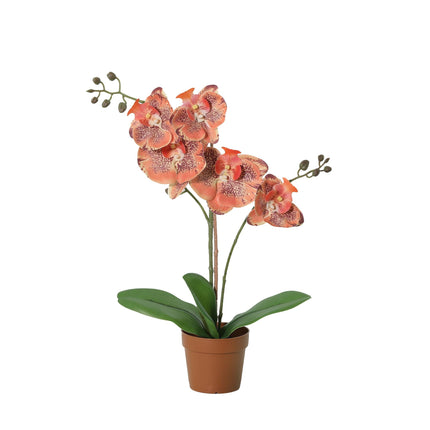Kunstplant Phalaenopsis orchid orange - ↕41cm