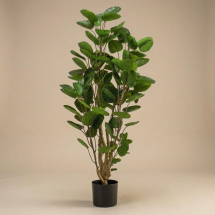 Kunstplant - Polyscias boom - ↕105cm