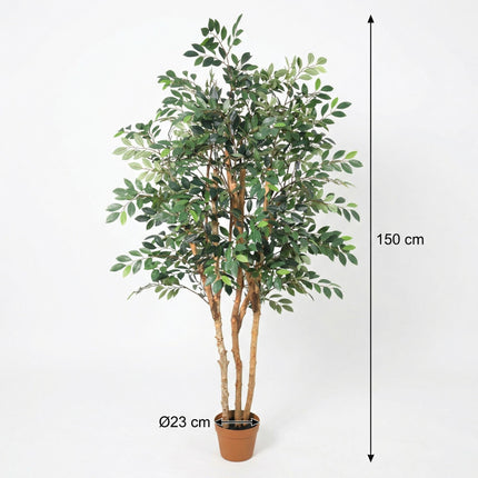 Kunstplant Ficus Exotica - ↕150cm