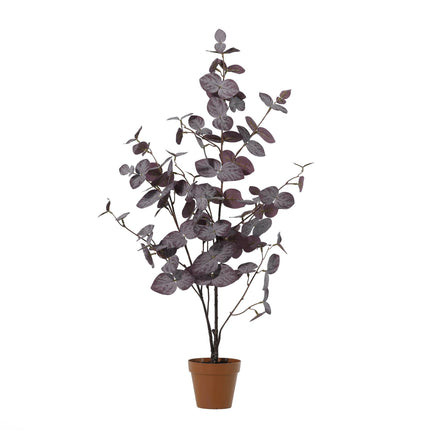Kunstplant Eucalyptus purple - ↕86cm