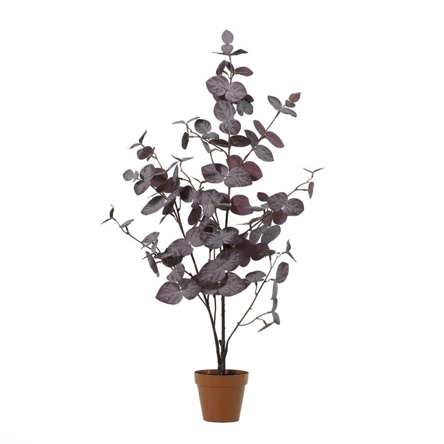 Kunstplant Eucalyptus purple - ↕86cm