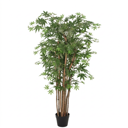 Kunstplant Acer - ↕150cm