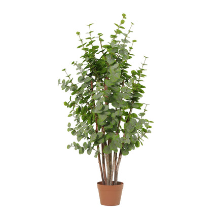 Kunstplant Eucalyptus Boom green - ↕120cm