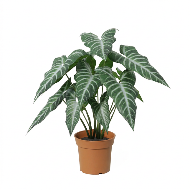 Kunstplant Alocasia polly - ↕49cm
