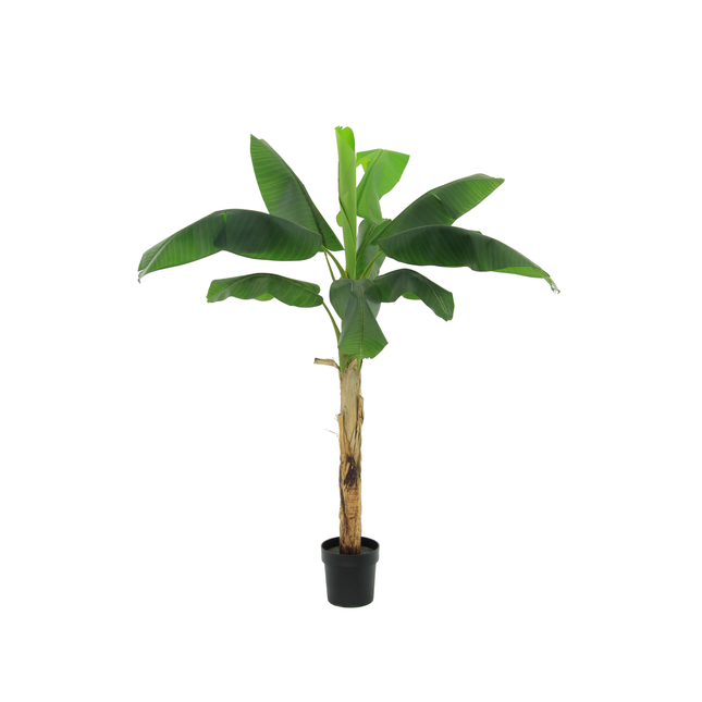 Kunstplant Bananenplant Musa - ↕180cm