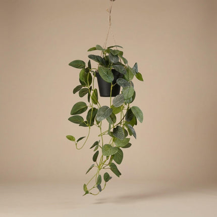 Kunstplant Fittonia - hangplant in pot - ↕70cm