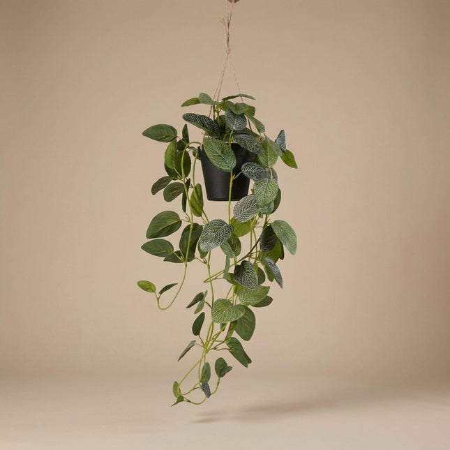 Kunstplant Fittonia - hangplant in pot - ↕70cm
