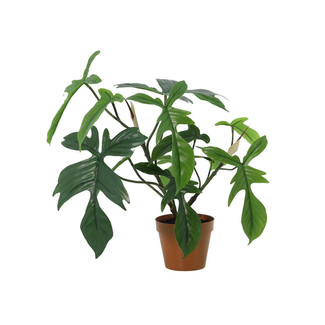 Kunstplant Philodendron Florida - ↕44cm