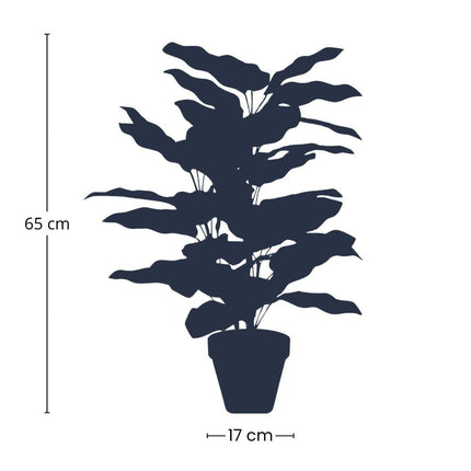 Kunstplant Calathea in pot - ↕65cm