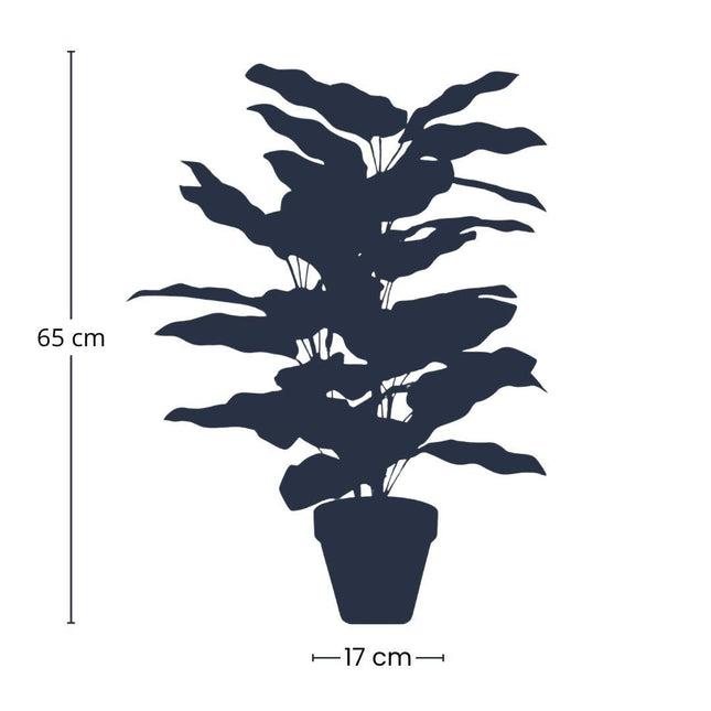 Kunstplant Calathea in pot - ↕65cm