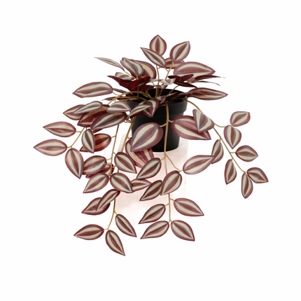 Kunstplant Tradescantia - ↕32cm
