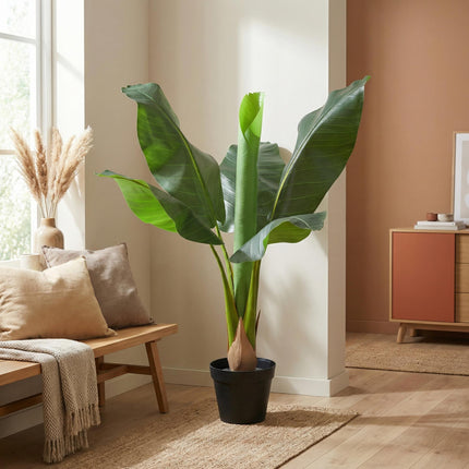 Kunstplant Bananenplant Musa - ↕80cm