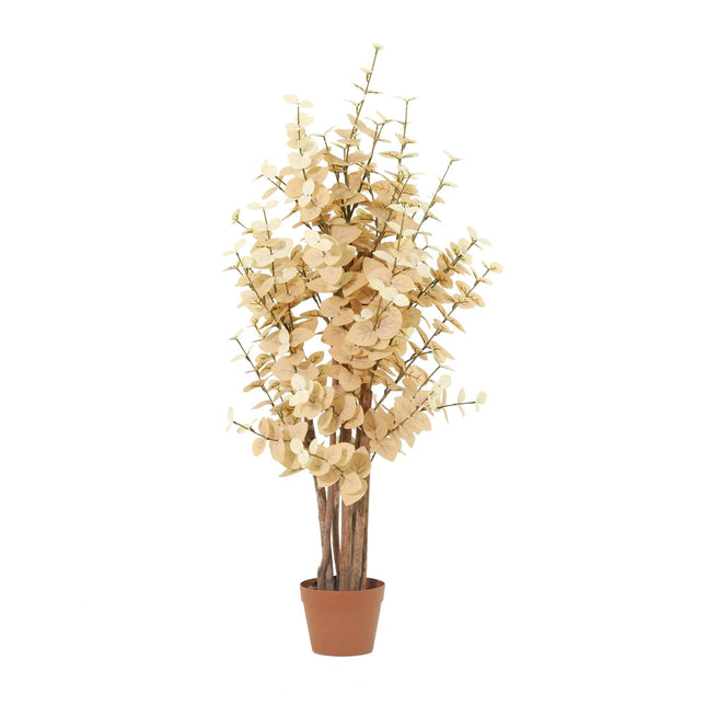 Kunstplant Eucalyptus Boom yellow - ↕125cm