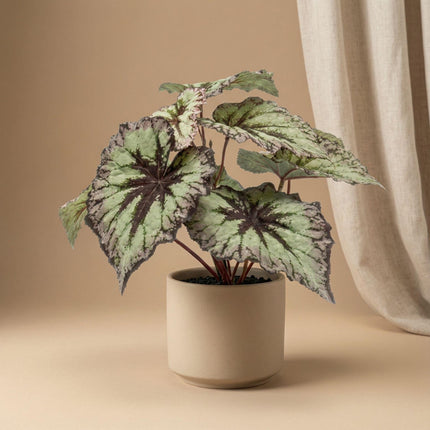 Kunstplant Begonia in pot - ↕26 cm