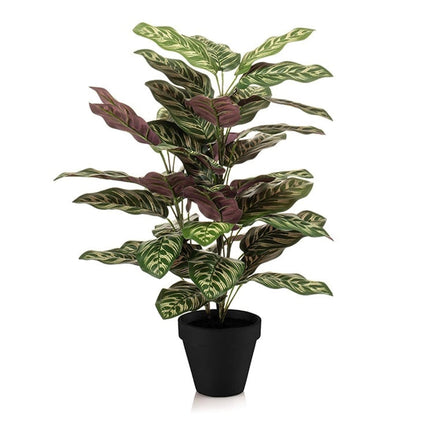 Kunstplant Calathea in pot - ↕65cm