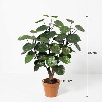 Kunstplant Polysicas Fabian - ↕55cm