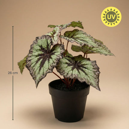 Kunstplant Begonia in pot - ↕26 cm