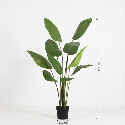 Kunstplant Strelitzia Nicolai - ↕180cm