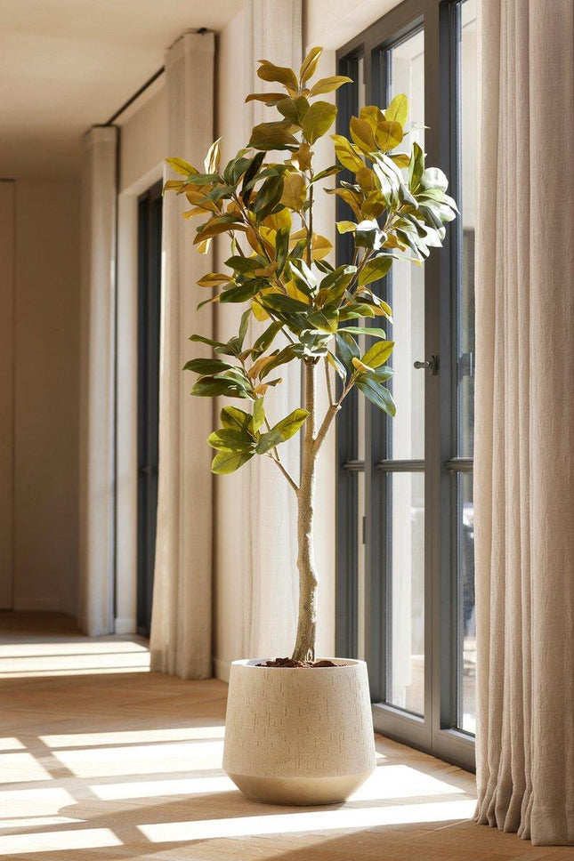 Grote Kunstplant - Magnolia Denudata - ↕150 cm