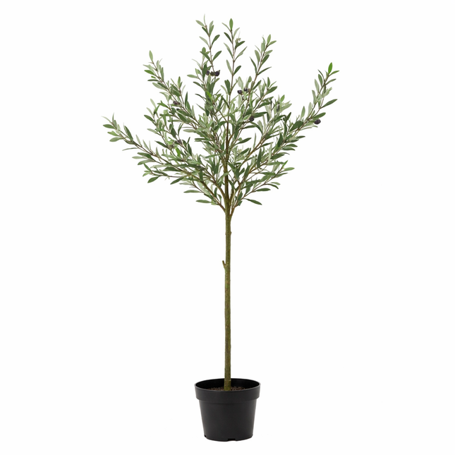 Kunstplant Olijfboom - ↕150cm