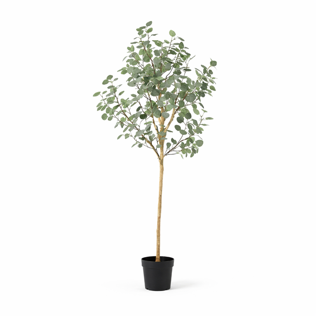 Kunstplant Eucalyptus - ↕180cm