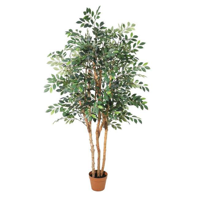 Kunstplant Ficus Exotica - ↕150cm